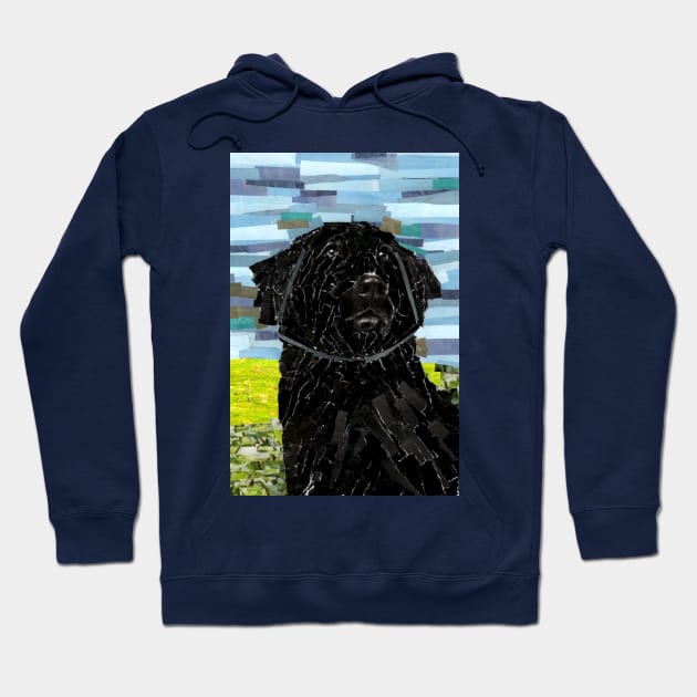 Newfoundland Dog Collage Hoodie by cajunhusker